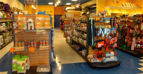 英國(guó)在線(xiàn)寵物用品銷(xiāo)售熱潮 商鋪旺鋪現(xiàn)象解析